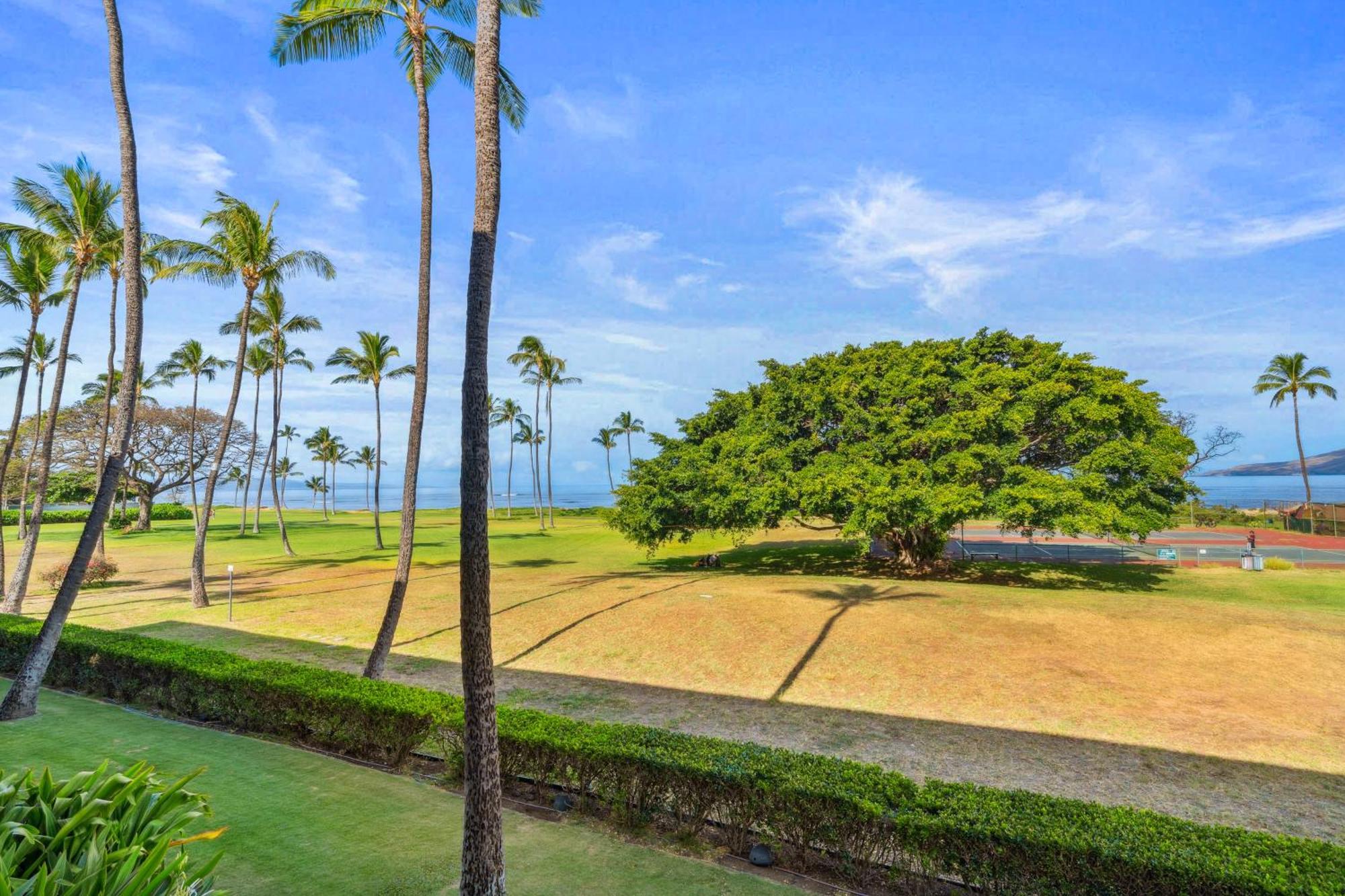 Maui Schooner Resort Кихей Экстерьер фото