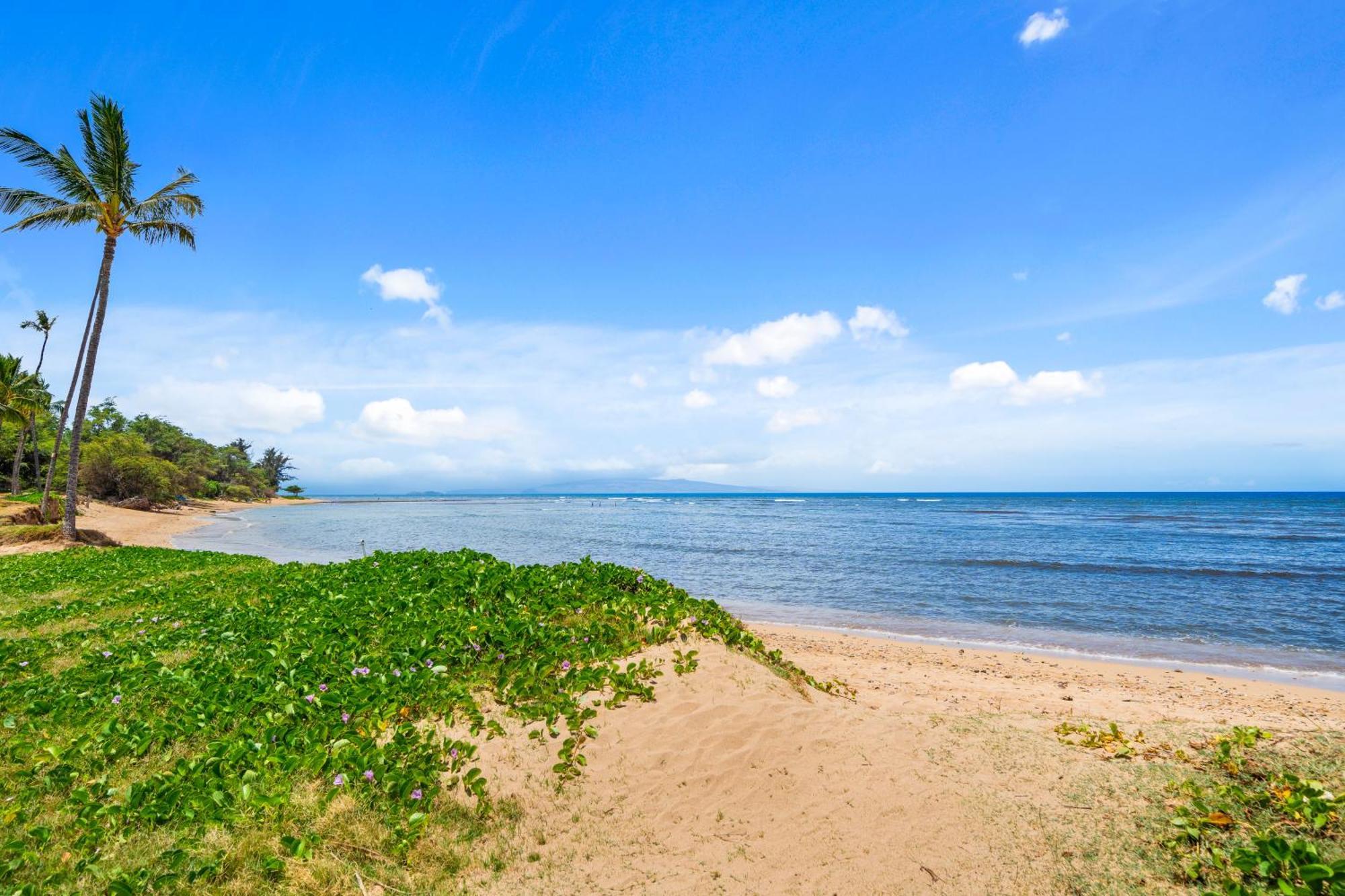 Maui Schooner Resort Кихей Экстерьер фото